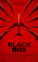 Black Box: Flight 298