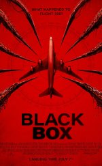 Black Box: Flight 298