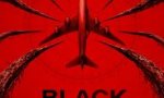 Black Box: Flight 298
