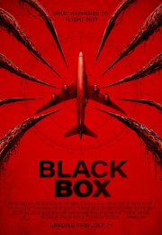 Black Box: Flight 298