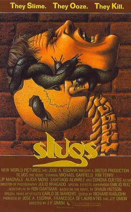 Sümüklü Böcekler (Slugs)