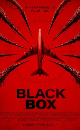 Black Box: Flight 298
