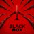 Black Box: Flight 298